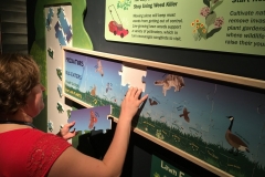 Lawn ecology puzzle