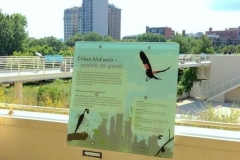 Micole Birdwalk intro panel