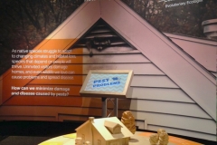 Stranger in the House