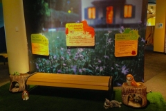 Backyard Ecology
