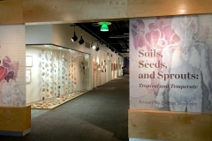 Soils, Seeds, and Sprouts intro