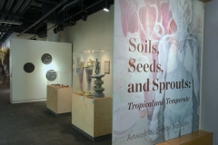 Ceramics and bronzes