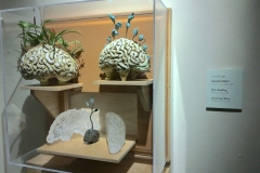 Brain Case