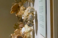 Earthstars in clutch mounts