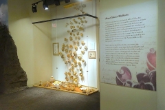 Sharon Bladholm's bio and Earthstars