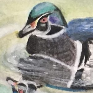painting of a wood duck on water